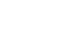 Koersfiets icon